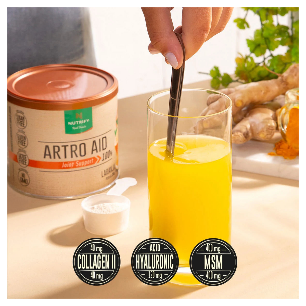 Artro AID Nutrify