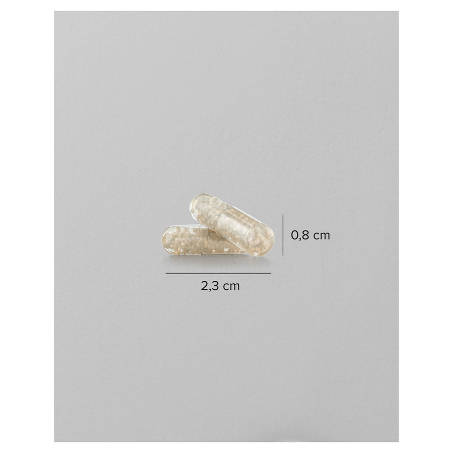 Uplift 40 Cápsulas
